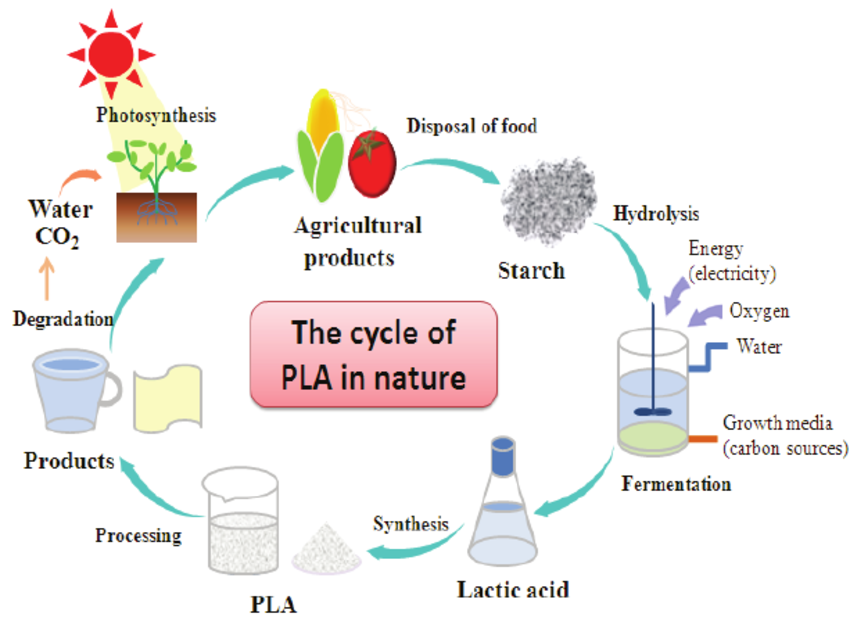 &iquest;Cu&aacute;nto tiempo tarda el PLA en biodegradarse?
