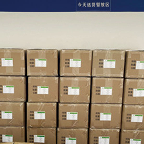 5,-Log&iacute;stica-entrega